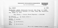 Image Associated With the Occurence